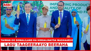 Taiwan oo Somaliland ka hirgalinaysa mashaariic lagu taageeraayo Beeraha [upl. by Nwahshar]