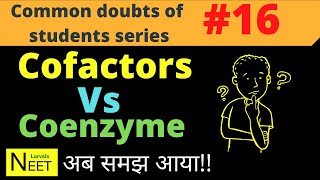 Cofactors Vs coenzyme  coenzyme and cofactors  Coenzyme in Hindi  enzymes class 11 Biology [upl. by Ettevol]