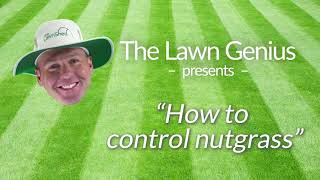 How to Control Nutgrass [upl. by Akeenat]