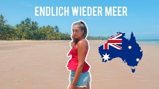 ENDLICH WIEDER MEER  Daintree Forest amp Carins Vlog 33 [upl. by Nevag267]