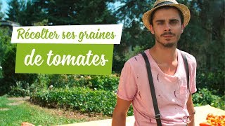 Récolter des graines de tomates [upl. by Sedgewinn731]