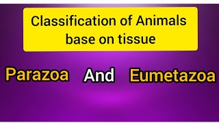 Criteria For Animals Classification Parazoa and Eumetazoa [upl. by Ashlee]