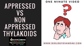 Appressed vs Nonappressed region of chloroplast [upl. by Nahttam]