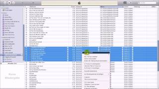 Hörbücher in iTunes kennzeichnen Tutorial [upl. by Erret]