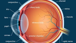 CLASS 10 Hypermetropia HyperopiaFarsightednessor Longsightedness [upl. by Oluas]