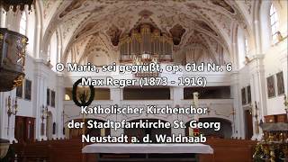 O Maria sei gegrüßt Max Reger  Kirchenchor St Georg [upl. by Ydnyc388]