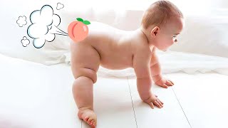 Hilarious Baby Fart Everywhere  Funny Baby Videos [upl. by Anniken]