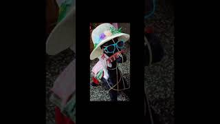 Cute decorated horse art handmadecreation youtubeshorts [upl. by Ayad]