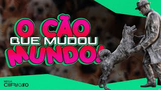 Esses 7 cães MUDARAM o MUNDO curioso [upl. by Aharon477]