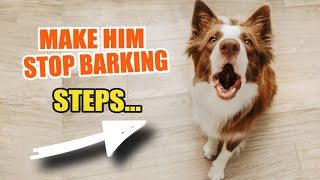 ¿WHY does my DOG ​​BARK a Lot 🐶🤦‍♂️ ¿What Should I Do [upl. by Lotsirb]