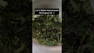 Bhringraj oil🌿✨subscribe ytshorts homemade [upl. by Darsie]