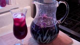 How To Make A Spiced Sorrel Drink From The Caribbean [upl. by Eadahc]