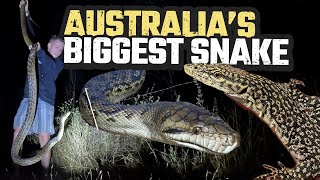 FINDING AUSTRALIAS BIGGEST SNAKE amp RARE LIZARDS  SCRUB PYTHON  HERPING CAIRNS EP 4 [upl. by Pizor]