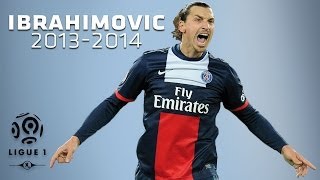 Zlatan Ibrahimovic  All Goals in 20132014 1st half  PSG [upl. by Apfel]