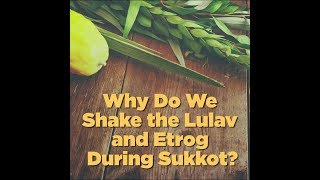 Why Do We Shake the Lulav and Etrog on Sukkot [upl. by Sender537]