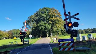 Spoorwegovergang Winterswijk NL  Railroad crossing  Bahnübergang trainspotting train treino [upl. by Yaj]