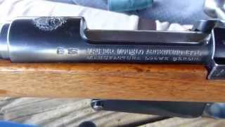 1891 Argentine Mauser Mauser Modelo Argentino 1891 Accuracy [upl. by Hillie]