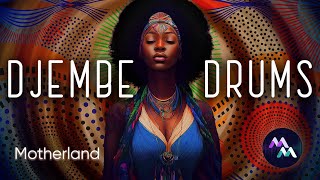 African Music  DJEMBE Drumming Afrobeats  African Relaxing Music Full HD [upl. by Atnuahs]