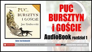 PUC BURSZTYN i GOŚCIE Audiobook MP3 🎧 rozdział 1  posłuchaj i pobierz całość [upl. by Henrie]