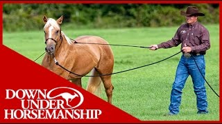 Clinton Anderson Training a Rescue Horse Part 1  Downunder Horsemanship [upl. by Nnylkcaj]