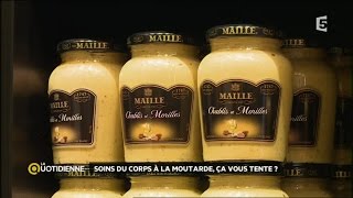 Dossier du Jour  Moutarde  la star des condiments [upl. by Bahe]