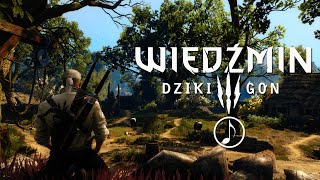 Witcher Meditation1 Hour Atmospheric Ambience🎶Brunwich Village [upl. by Citron434]