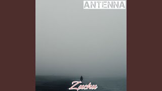 Antenna [upl. by Namien]