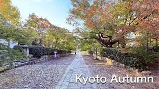 Shinnyodo Temple’s Hidden Autumn Beauty  Kyoto’s Serene Fall Foliage [upl. by Harrington80]