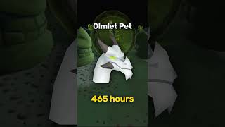 Hardest Pets in OSRS [upl. by Narol]