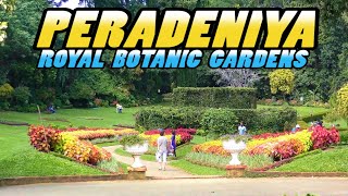 PERADENIYA  Royal Botanic Gardens  Sri Lanka 4k [upl. by Saree]