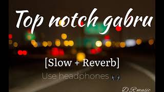 Top notch gabru slow  reverb 🤘 [upl. by Drawe]