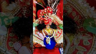 Jai shree Radhe devotional love cute shyam bhaktiringtone viralshorts tranding🙏 [upl. by Carrington87]