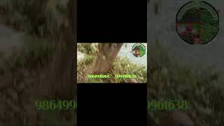 White sandalwood santalum variety greenenvironment farming youtubeshorts YouTube [upl. by Etnuahc860]