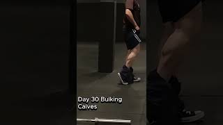 Day 30 Bulking [upl. by Nobel]