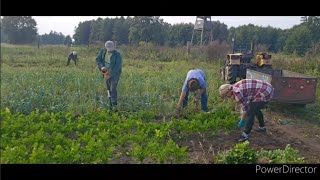 kopiemy wybieramy Odra idzie w górę  bardzo ciężkie dni [upl. by Nosidam]