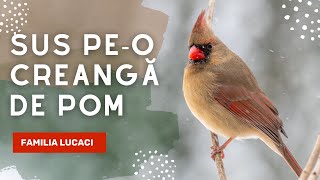 Sus peo creangă de pom  Familia Lucaci Official Video [upl. by Reibaj402]