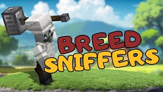 How to Breed Sniffers in Minecraft  Minecraft Tutorial 2024 [upl. by Dannon115]