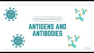 Antigens and Antibodies  Overview [upl. by Teak]