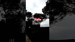 Paseando por Italia Toscana  Walking italy travel shorts youtube video vlogs yt 🇮🇹💫 [upl. by Eidua590]