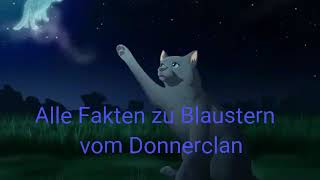 Alle Fakten zu Blaustern vom Donnerclan  Warrior Cats Feuerstern [upl. by Maritsa]