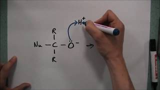 Nucleophilic Addition [upl. by Gennifer]