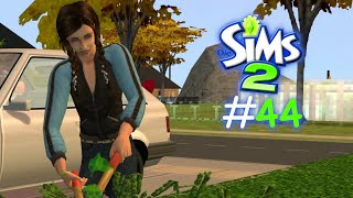 🏡Die Sims 2  Familie Wilson 44  No Commentary GER🏡 [upl. by Iek]