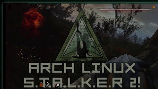 Linux plays STALKER 2 BEAUTIFULLY  RTX 4090 24GB  EPIC [upl. by Ebberta]