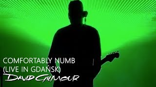 David Gilmour  Comfortably Numb Live In Gdańsk [upl. by Billye111]