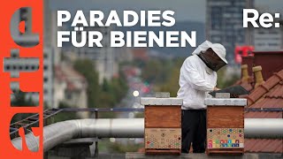 Im Land der Bienen  ARTE Re [upl. by Etteniotna125]