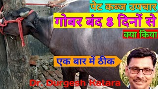 🌹🐂🌹Buffalo cow ko kabj ka ilaj  Impaction or Rumen in cow Buffalo Treatment By DrDurgesh katara [upl. by Annahsar]