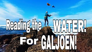 How to READ THE WATER FOR GALJOEN How to identify where Galjoen feed Fishing for GALJOEN TIPS [upl. by Bess206]