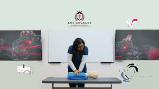 Master CPR Series How to Perform CPR on an Adult  AHA Guidelines [upl. by Micky131]