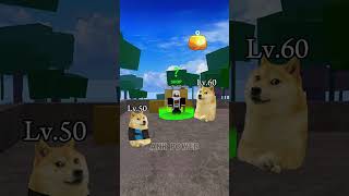 Doges friend no longer plays games🥹 roblox doge bloxfruits [upl. by Ansilma]