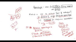 LEC2 ON ARTHROPODA BY KN SIR [upl. by Eiralam]